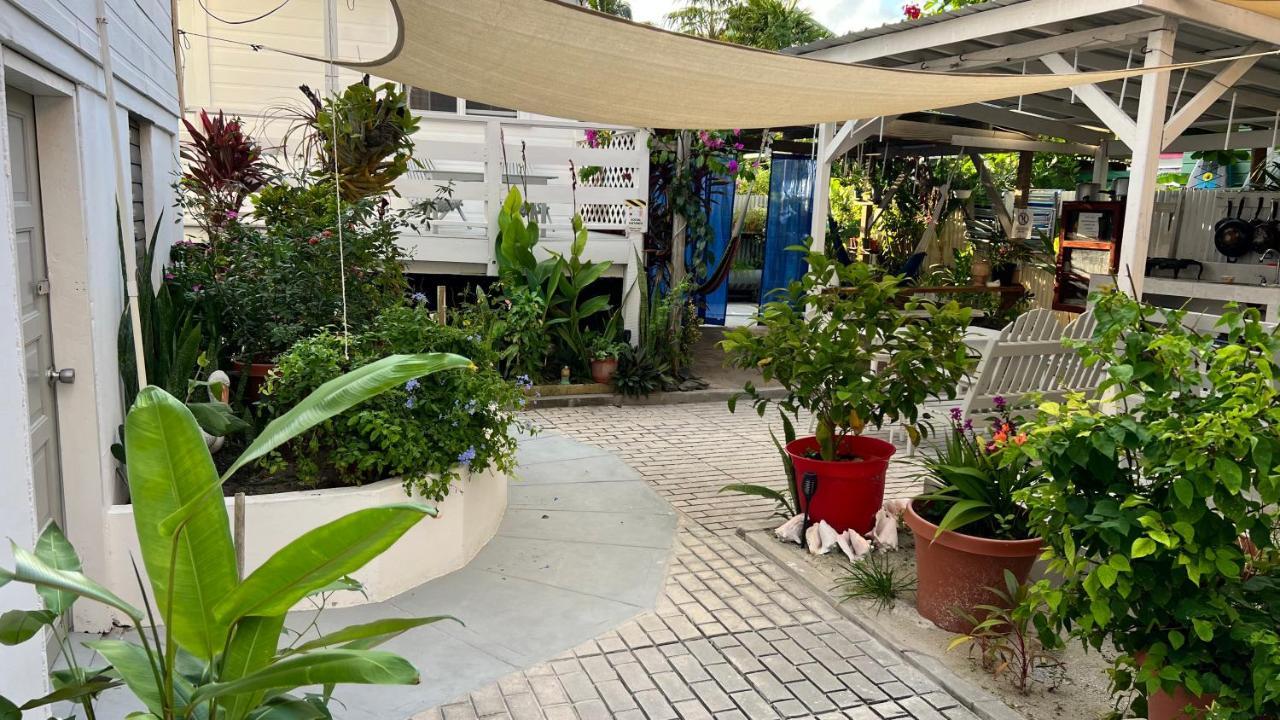 Blue Wave Guest House Caye Caulker Exterior foto