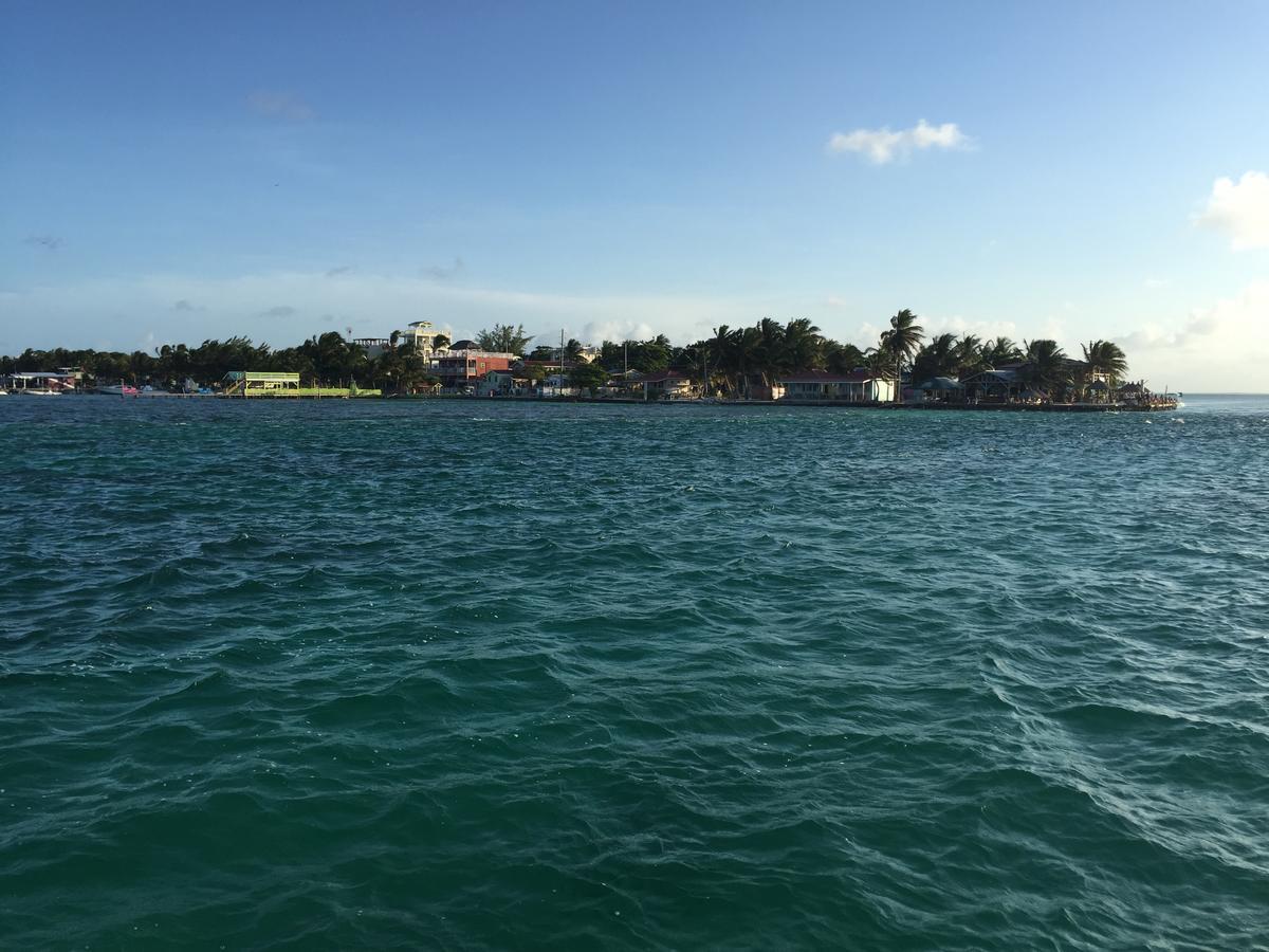 Blue Wave Guest House Caye Caulker Exterior foto